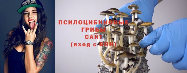 кокс Бородино