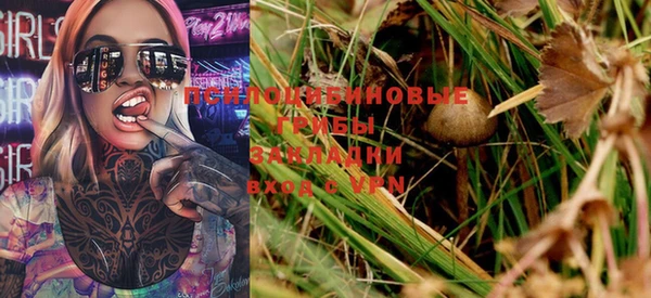 ГАЛЛЮЦИНОГЕННЫЕ ГРИБЫ Бронницы