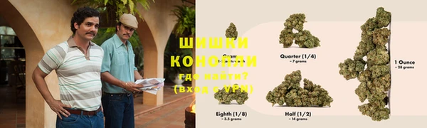 ГАЛЛЮЦИНОГЕННЫЕ ГРИБЫ Бронницы