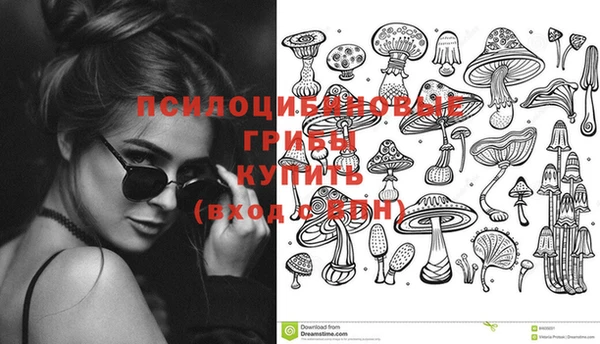 ГАЛЛЮЦИНОГЕННЫЕ ГРИБЫ Бронницы