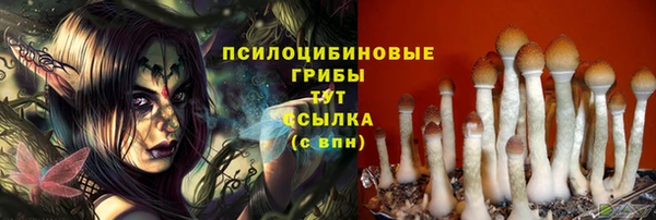 бошки Бугульма