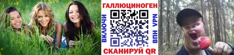 Галлюциногенные грибы Psilocybe MEGA как зайти Кимовск где продают наркотики